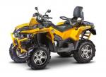 STELS ATV 650 GUEPARD   Trophy  EPS Camo EPS